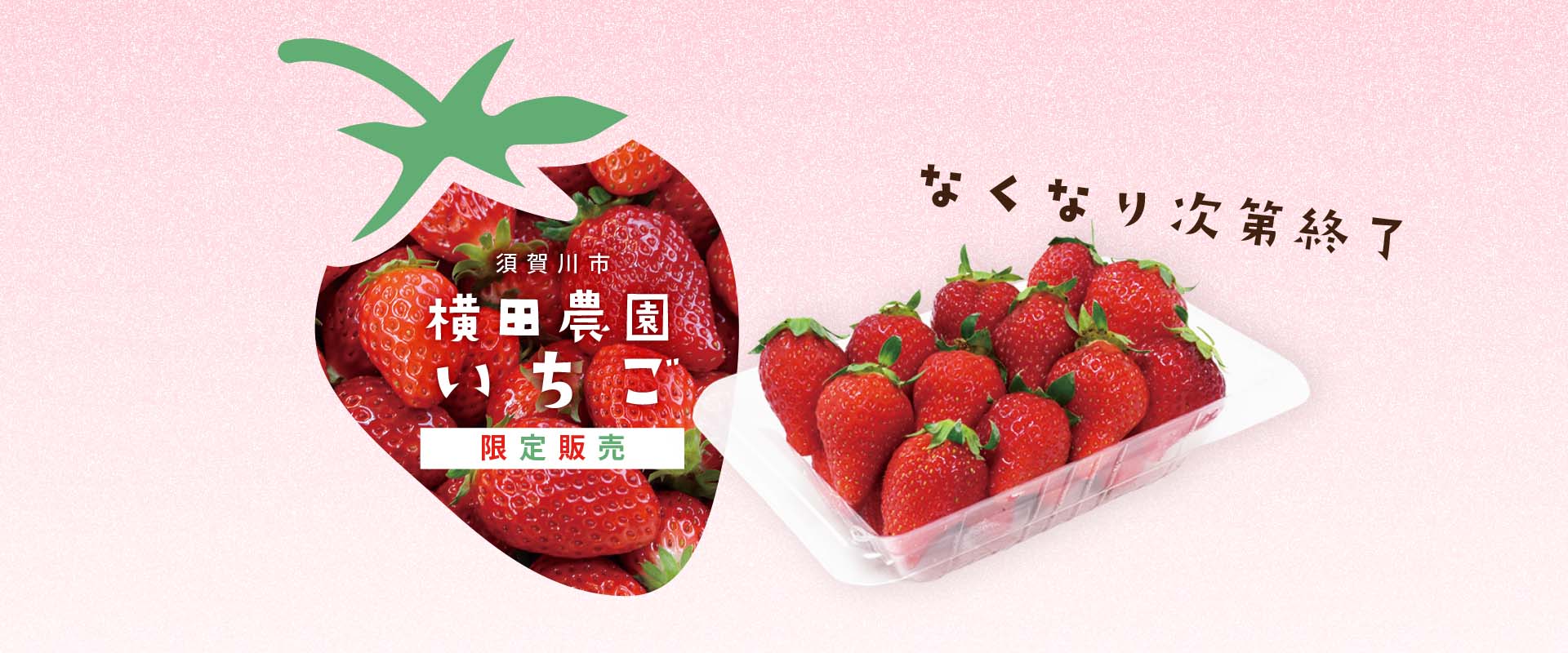 横田農園さんのいちごを限定販売いたします