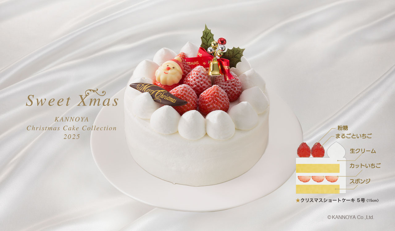 クリスマスショート　5号